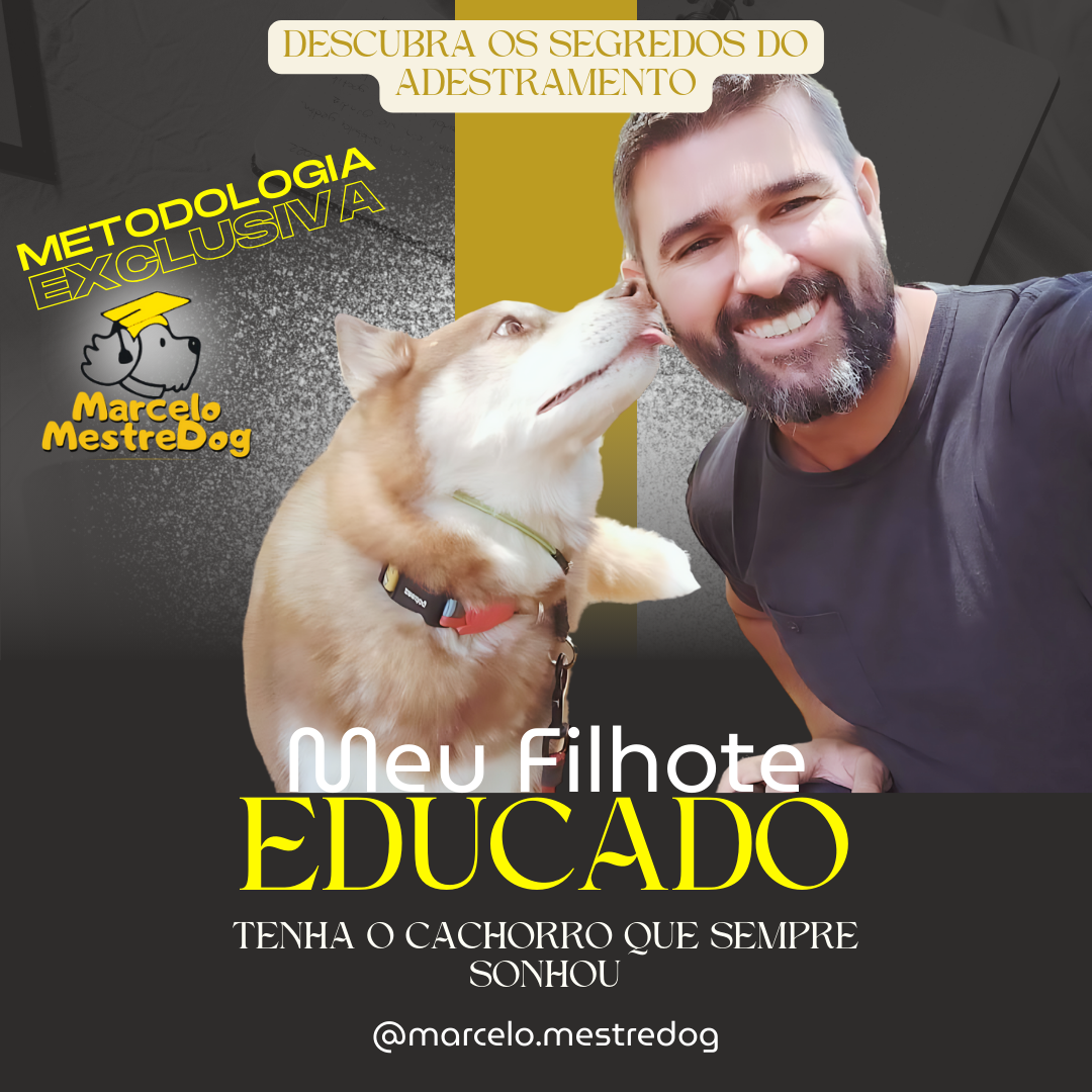 MEU FILHOTE EDUCADO